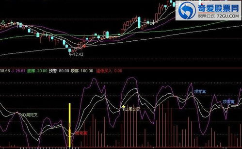 通达信软件怎么进行选股公式的成功率测试