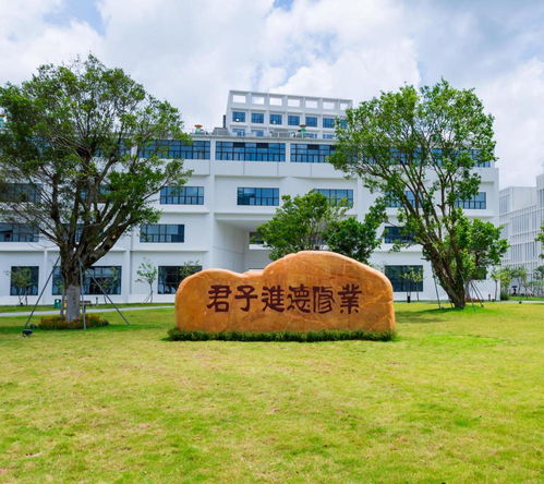 深圳大学和暨南大学小自考,暨南大学自考和深圳大学自考哪个难