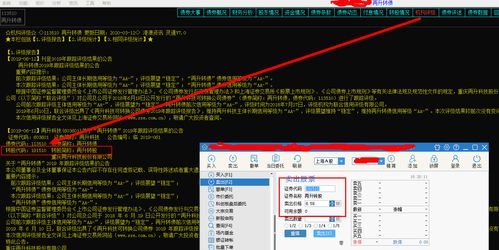 交易软件怎么实现债转股