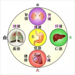 男人钟爱,女人青睐 看了不后悔 