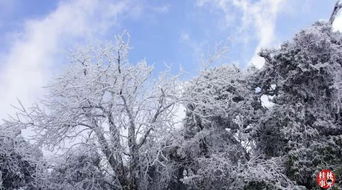 桂林下雪啦 2018年的冬天,给了桂林一个惊喜