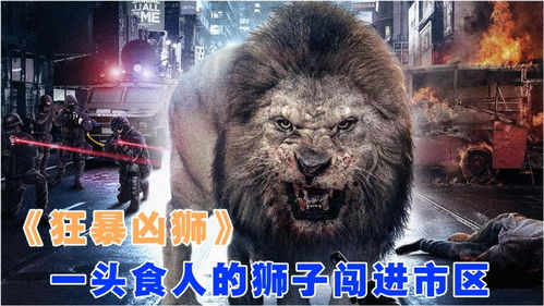 狂暴凶狮 残暴的雄狮闯入城市,大肆捕杀人类,场面真是惊心动魄 