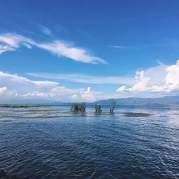 和摩羯座一起旅行,就像拥有了一整支私人旅行规划团队 