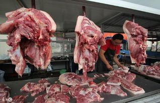 12月29日全国猪价格 南强北弱, 越南猪 开始冲击市场