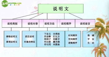 说明文的写作顺序有哪些 