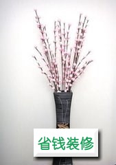 春节家里放哪些植物比较好 