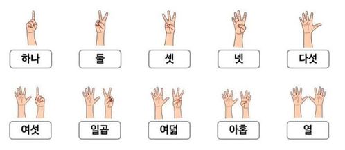 韩国人 难以置信,中国人居然一只手就可以比出10个数字