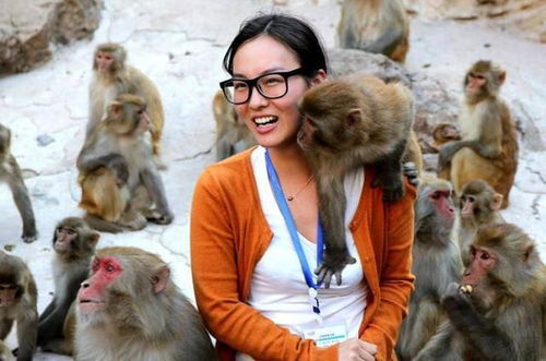 中国最大野生自然生态猴区, 这里的猴子不怕人, 彬彬有礼