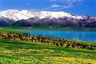 新疆旅游景区哪里好玩
