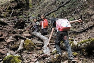 翻山越岭回家路 