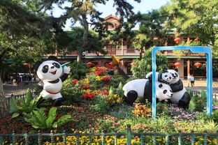 祥龙出水 熊猫拍照,36组立体花坛亮相市属公园