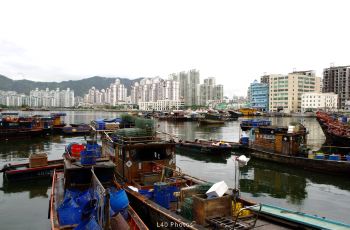 深圳蛇口渔港攻略,深圳蛇口渔港门票 游玩攻略 地址 图片 门票价格 