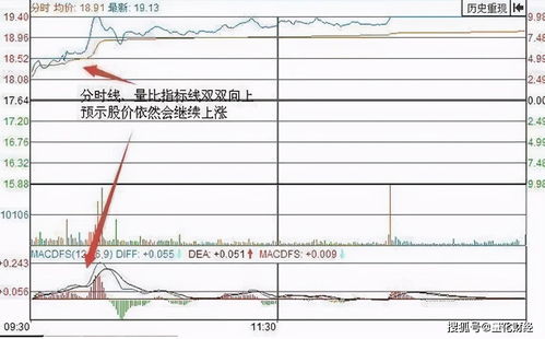 请问股价的高低和上市公司的效益有联系吗？