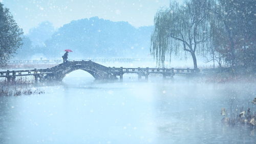 关于赞美杭州西湖的诗句有哪些
