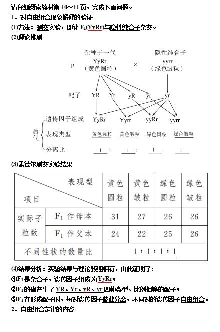 高一生物教案 两对相对性状的杂交实验过程及自由组合定律 4 