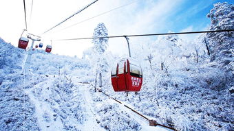 成都占道停车收费时间段(成都西岭雪山停车场收费标准)