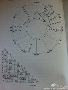 案例八 古典占星职业分析 转载 