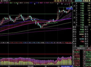 600960强势明显还会创新高吗？