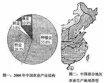 农村第三产业结构方案模板(农村第三产业是指什么)