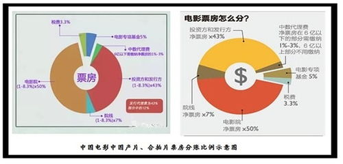 中国电影票房分账的规则与流程 