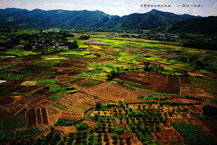 一座城，一段情(一座城一段情,念一座城)