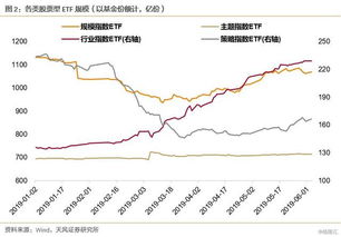 为什么持有etf基金不能算打新的市值