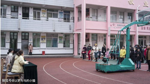 专科小学教育能当老师吗,专科学小学教育可以当老师吗(图2)