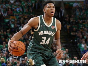 篮球国家队外籍主教练,nba外籍主教练