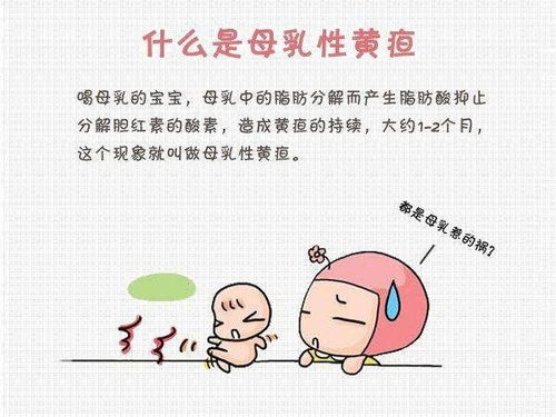 宝宝黄疸这怎么办 蓝光 茵栀黄 益生菌 药浴..哪个更靠谱