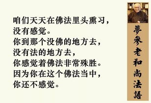 凡是信佛的人,灾害面前多数都是安全的 梦参老和尚