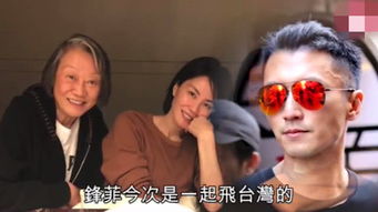 谢霆锋不回应前妻张柏芝生三胎问题,和女友王菲同飞台湾秀恩爱