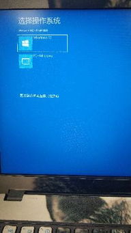 电脑开机显示win10和pe怎么办