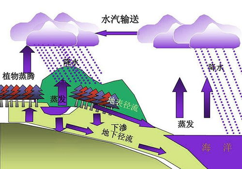 澳大利亚森林大火已经肆虐四个月,人工降雨能灭火吗