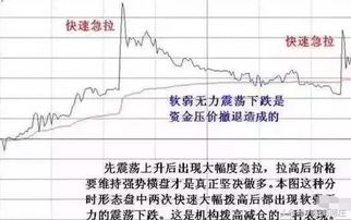 中国股市，操作88次没有获利，本金将全部损失。是真的吗？(佣金最低收取标准是5元)