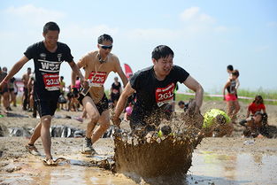 上海首场泥泞跑赛事举行规模空前创多项纪录 