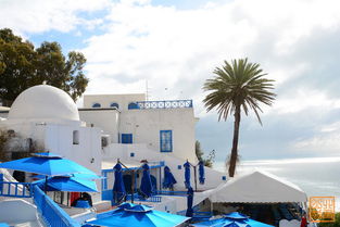 世界上最浪漫的小镇 sidi bou said