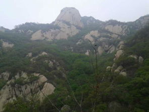 登莲花山