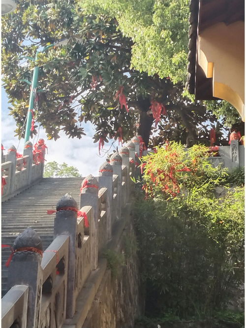 芜湖广济寺 赭山动物园 