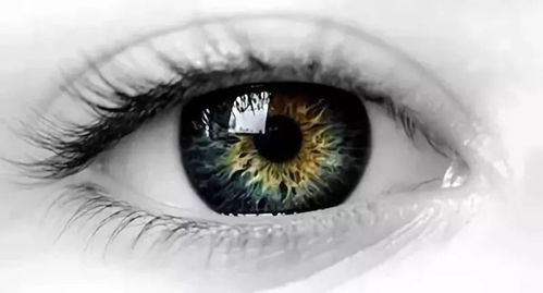 干眼症的起源 眼睛缺水缺氧缺营养