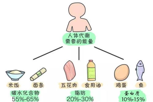 健康百问 空腹运动是否最燃脂