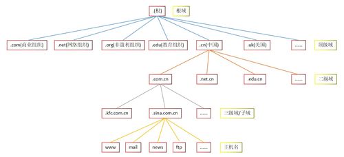 域名解析服务器DNS的作用(域名解析dns的工作原理)