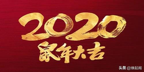 2020年生肖运程 属兔人鼠年运程