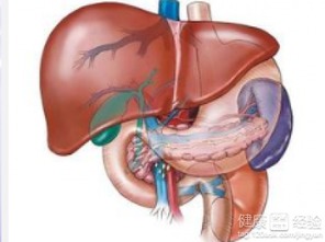 结肠癌晚期肝脏转移腹水疼痛该怎么办