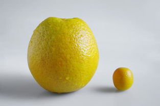 橘子和柠檬的区别是什么 
