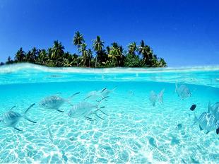 马尔代夫两岛旅游浪漫游记的美好体验