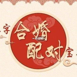 八字合婚忌天克地冲,喜天合地合,但其最关键的是要互不损害用神 小红书 