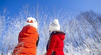 12月18日 顺假期 独立成团带您冰城哈尔滨 亚布力 童话世界雪乡雪谷穿越 吉林雾凇岛双动6日游2380元 群友尊享2280元