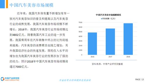 2018年中国无人洗车行业市场前景研究报告