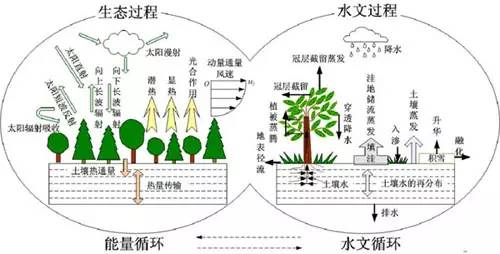 全球气候变化可能造成的影响有哪些？