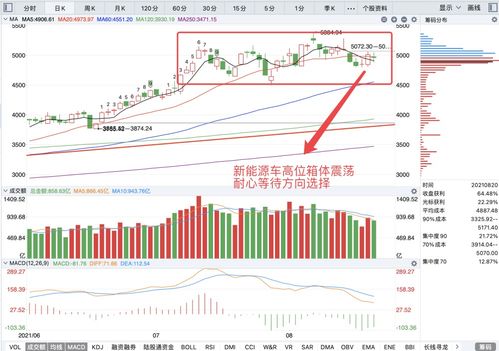 对股票、基金方面的详细解释及如何操作